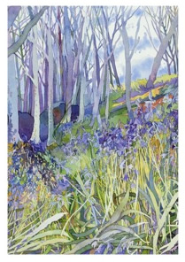 bluebells