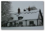 snow on the top green